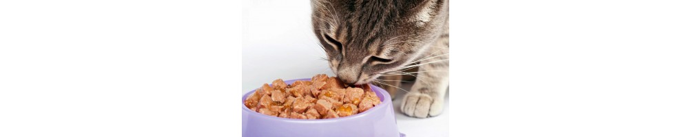 Alimenti per gatti